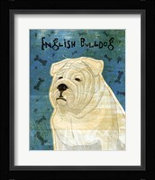 English Bulldog Framed Print