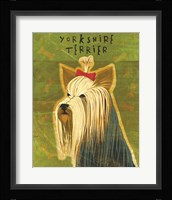 Yorkshire Terrier Fine Art Print