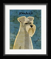 Schnauzer Fine Art Print