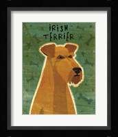 Irish Terrier Fine Art Print