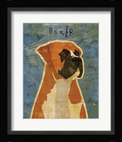 Boxer Fine Art Print