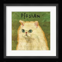 Persian Framed Print
