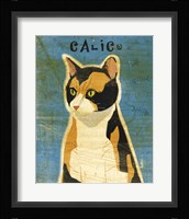 Calico Fine Art Print