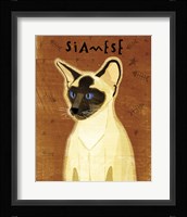 Siamese Framed Print