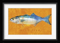 Bluefish Framed Print