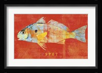 Spot Framed Print