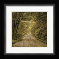 Flannery Fork Road No. 1 Framed Print