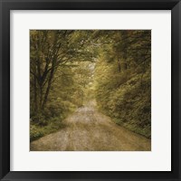 Flannery Fork Road No. 1 Fine Art Print