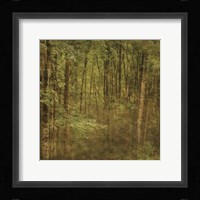 Fog in Mountain Trees Framed Print