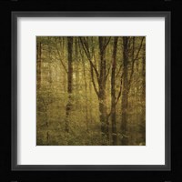 Fog in Mountain Trees No. 2 Framed Print