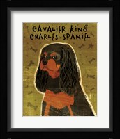 Cavalier King Charles (black and tan) Framed Print