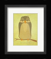 The Sensible Owl Framed Print