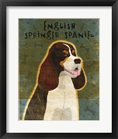 English Springer Spaniel (tri-color) Fine Art Print