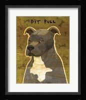 Pit Bull (Gray) Framed Print