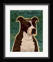 Pit Bull (Brindle) Framed Print