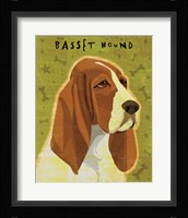 Basset Hound Framed Print