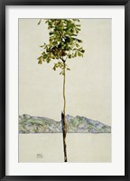 Horse Chestnut Tree, Lake Constance. 1912 Fine Art Print