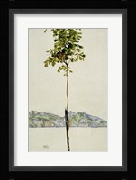 Horse Chestnut Tree, Lake Constance. 1912 Fine Art Print