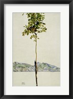 Horse Chestnut Tree, Lake Constance. 1912 Fine Art Print