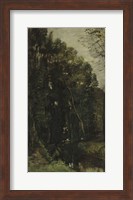 Forest And Brook Fine Art Print