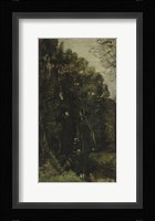 Forest And Brook Fine Art Print