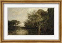 The Pond With Herons Fine Art Print