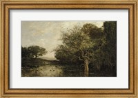 The Pond With Herons Fine Art Print