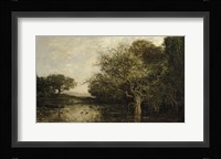 The Pond With Herons Fine Art Print