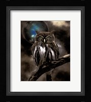 Night Owl Fine Art Print