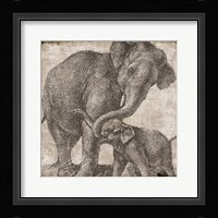 Elephant 2 Fine Art Print