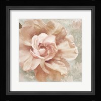 Petals Impasto I Framed Print