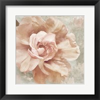 Petals Impasto I Framed Print