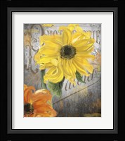 Sunflower Studio Framed Print