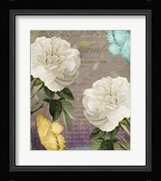 White Roses Framed Print