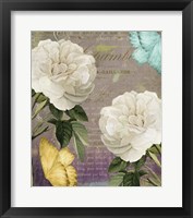 White Roses Framed Print