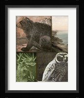 Cabela III Fine Art Print