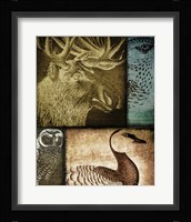Hunting Season III Framed Print