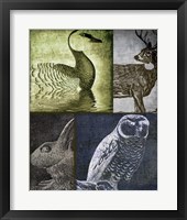 Hunting Season VII Framed Print