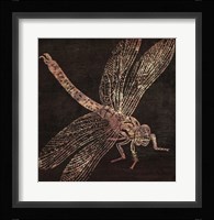 Dragonfly Framed Print