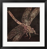 Dragonfly Framed Print
