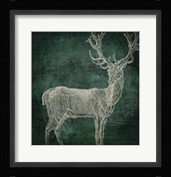 Emerald Deer Framed Print