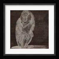 Monkey Framed Print
