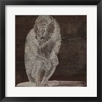 Monkey Fine Art Print