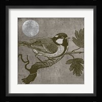 Moon Bird Framed Print