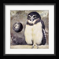 Moon Owl Framed Print
