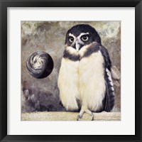Moon Owl Framed Print