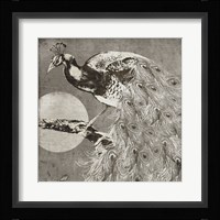 Moon Peacock Framed Print