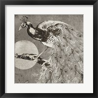 Moon Peacock Framed Print