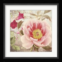 Aphrodite I Framed Print