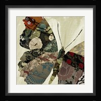 Butterfly Brocade III Framed Print